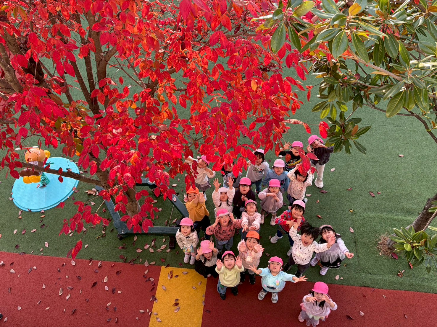 えのみこども園